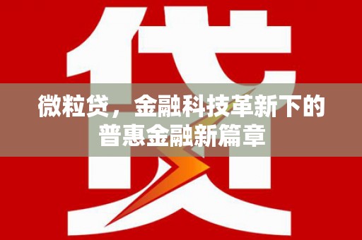 兴化微粒贷，金融科技革新下的普惠金融新篇章