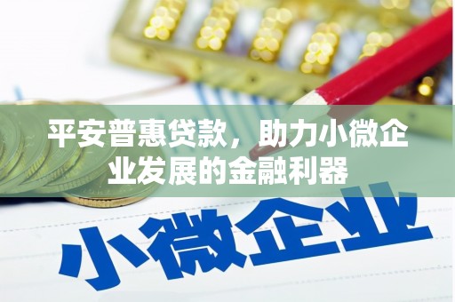 兴化平安普惠贷款，助力小微企业发展的金融利器