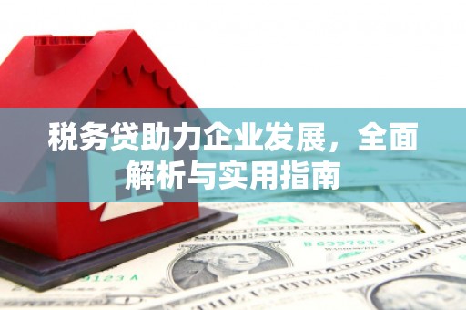 兴化税务贷助力企业发展，全面解析与实用指南