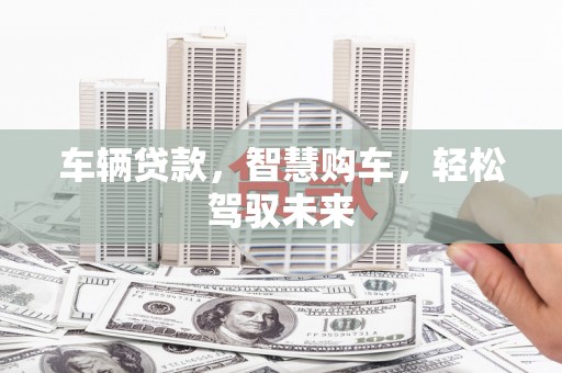 兴化车辆贷款，智慧购车，轻松驾驭未来