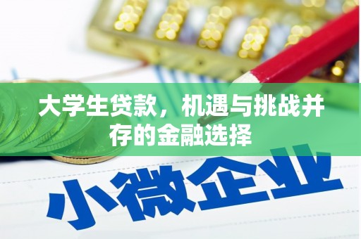 兴化大学生贷款，机遇与挑战并存的金融选择