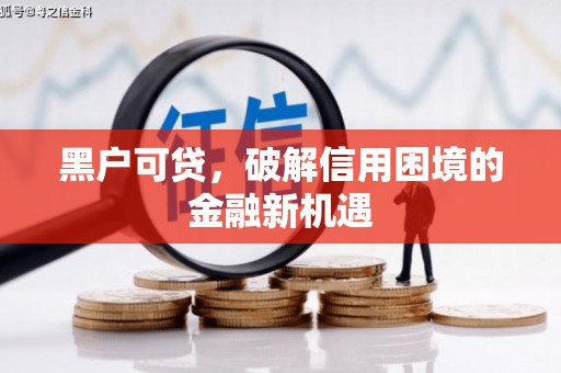 兴化黑户可贷，破解信用困境的金融新机遇