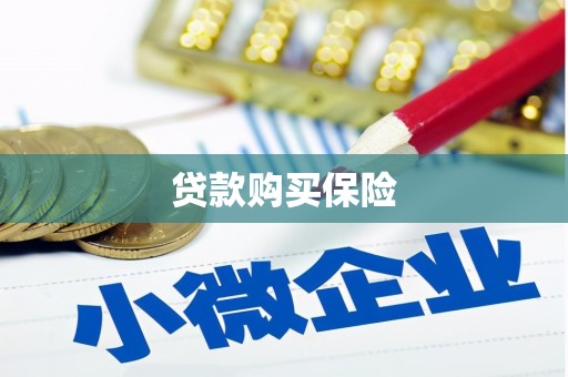 兴化贷款购买保险