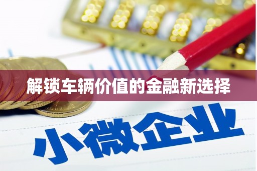 兴化解锁车辆价值的金融新选择