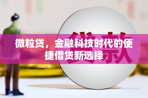 兴化微粒贷，金融科技时代的便捷借贷新选择