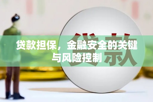 兴化贷款担保，金融安全的关键与风险控制