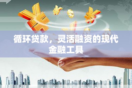 兴化循环贷款，灵活融资的现代金融工具