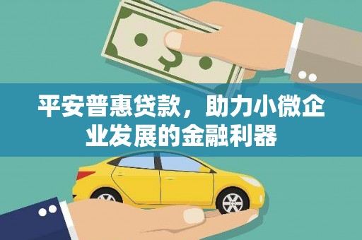 兴化平安普惠贷款，助力小微企业发展的金融利器