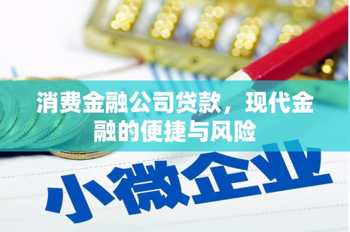 兴化消费金融公司贷款，现代金融的便捷与风险