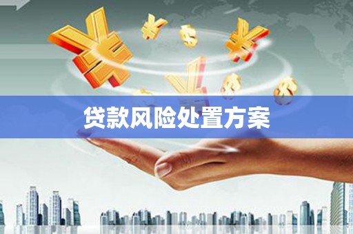 兴化贷款风险处置方案