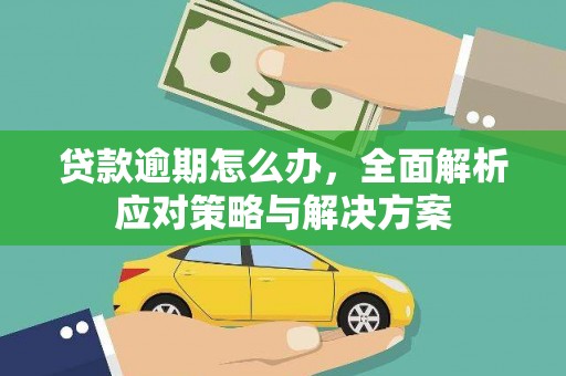 兴化贷款逾期怎么办，全面解析应对策略与解决方案