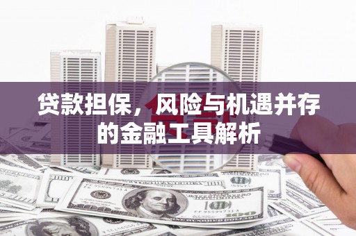 兴化贷款担保，风险与机遇并存的金融工具解析