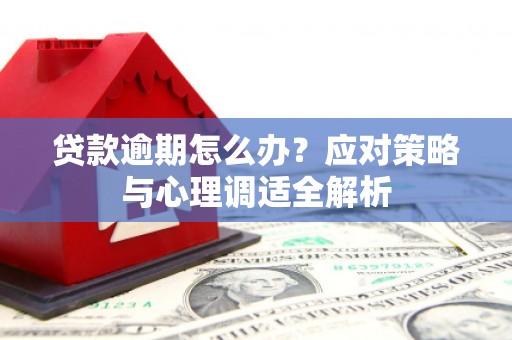兴化贷款逾期怎么办？应对策略与心理调适全解析