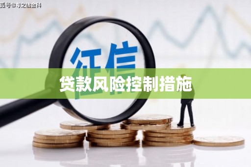 兴化贷款风险控制措施