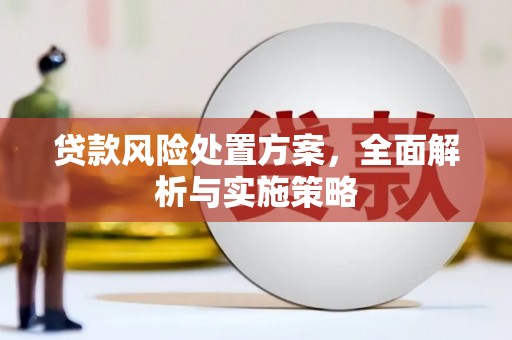 兴化贷款风险处置方案，全面解析与实施策略
