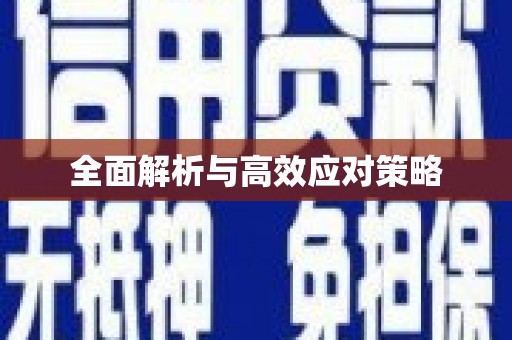 兴化全面解析与高效应对策略